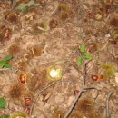 승민농장 이미지