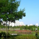 둔산공원-2 이미지