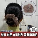 로즈 이미지