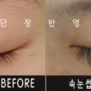 미색단장 이미지