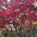 호암유치원 | [공지] 호암미술관에서 보낸 엄마와 딸의 특별한 가을 나들이