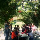 유영석농장 이미지