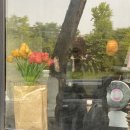 래빗홀버거컴퍼니 이미지