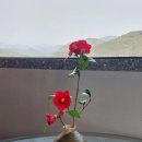 강빛마을 이미지