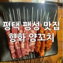 향화양꼬치 - 평택시 부용로17번길 25 | 향화양꼬치