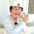 견생혼 | 윤택 반려견 달몽이 최근 근황 및 시골 강아지 매력 리뷰