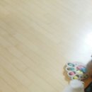 옵티마우리약국 이미지