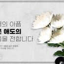 ＜부고＞군11팀 상정 이현옥, 불문3팀 향법행 이현실 자매 포교사의 부친상 이미지