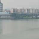 장미아파트(건너) 네이버블로그
