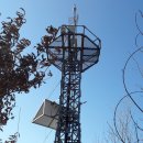 남산(서천분교)초등학교 이미지