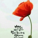 베로
