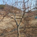 전정금농장 이미지