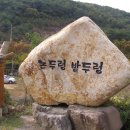 제51차 2014년 4월 12일 창립 1주년 기념 산행 밀양 영남루 둘레길 이미지