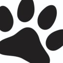 댕댕냠냠 이미지