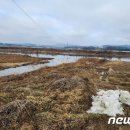 율곡천 1 뉴스1