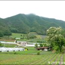 덕산기에서 이미지