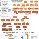 유럽인과 아시아인 질환 차이를 이해하기 위한 지식 ... 2025 Cell 이미지