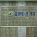 룡플란트치과 네이버블로그