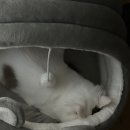 실례실~례 실례합니당~~ 실례실례하세여~~