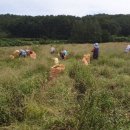 까치슈퍼 이미지