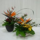 금왕한의원 이미지