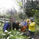 숲속의 아일랜드유치원 이미지