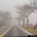 미리벌중학교 이미지