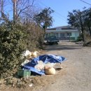 입실1리 이미지