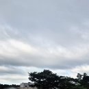 마음빼기 명상 후기《'빼기'가 왜 '채우기'보다 강력할까?》 라이프 리뷰 원데이 클래스 프로그램 (마음...
