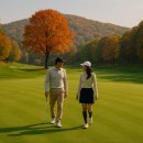 여주-0832 이미지