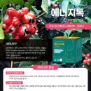 클라세움