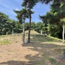 주세붕묘역 이미지