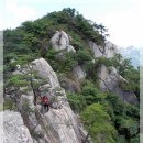 갈마중학교 이미지