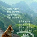 복 이미지