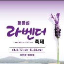 라벤더 이미지