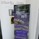 여락송정로 | 경남 양산 카페 추천, 느티나무의 사랑 카페 내돈내산 후기