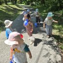 7월 첫째주 생태놀이(올챙이와 아기 개구리들의 만남/고무장갑 풍선 놀이/숲그늘을 찾아서~/포덕개울가 물놀이/흙동산 물놀이) 이미지