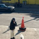 DOG채 애견스테이 네이버블로그