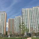 근화동 206 이미지