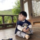 한정식수라 | 울산 한정식 맛집 도동산방 평일 수라한정식 솔직방문후기