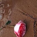 오늘도 빛나 이미지