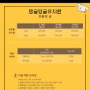 댕글댕글유치원 | 위례강아지유치원 댕글댕글유치원 비용부터 장단점까지!