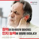 시그니아 보청기 이미지