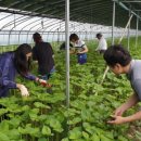 교동행정복지센터 이미지