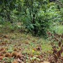 도덕농장 이미지