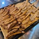 원시조쪽갈비
