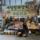 보령청과 이미지