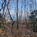 남해-153 이미지