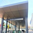 걸포초병설유치원 | 김포 걸포초등학교 입학식 날 톨앤핏이 가봤어요