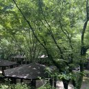 다리안 야영장 이미지